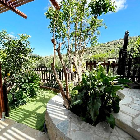 Вилла Platipodi Stone House Nikithianos Экстерьер фото